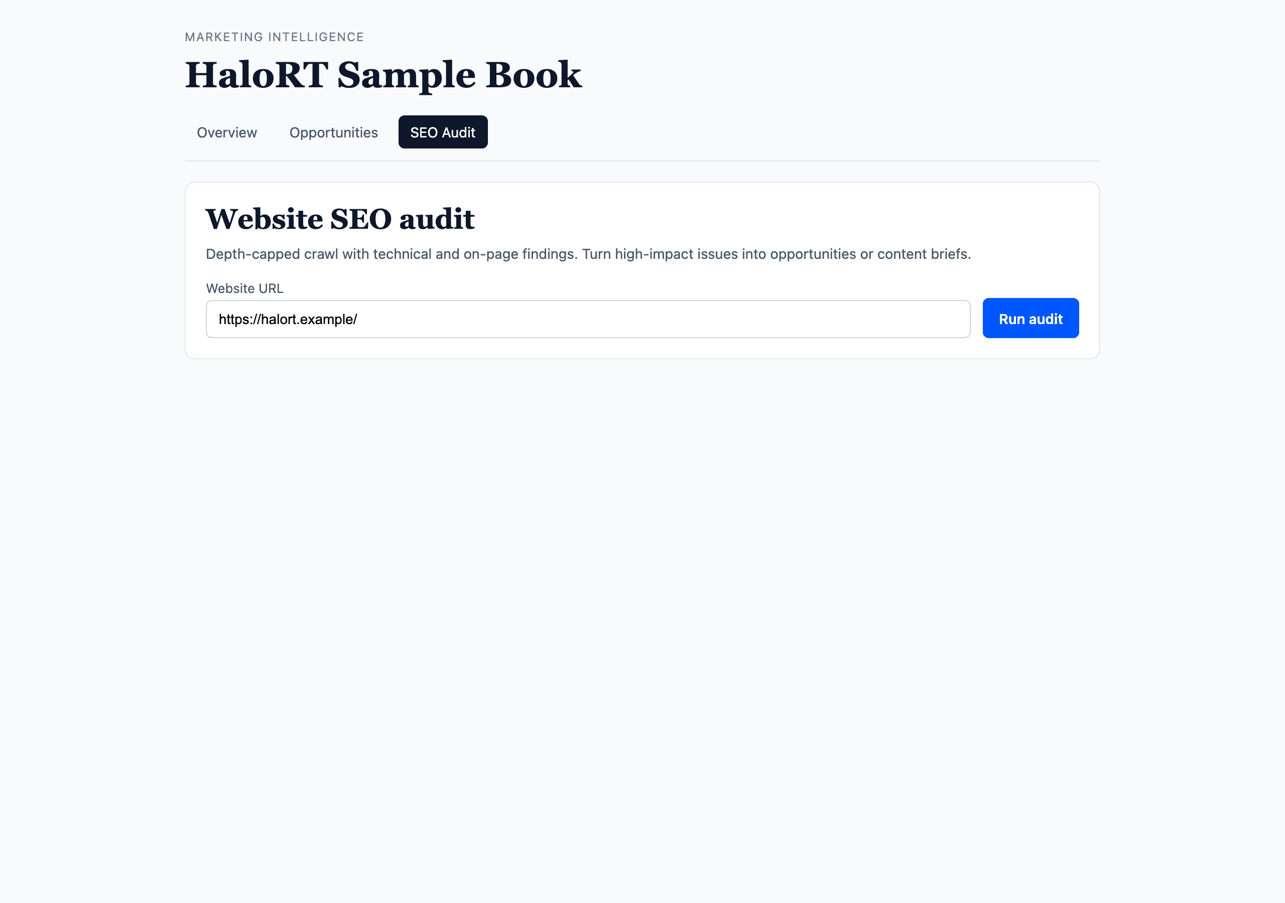 Empty SEO Audit tab with seed URL and Run audit button.